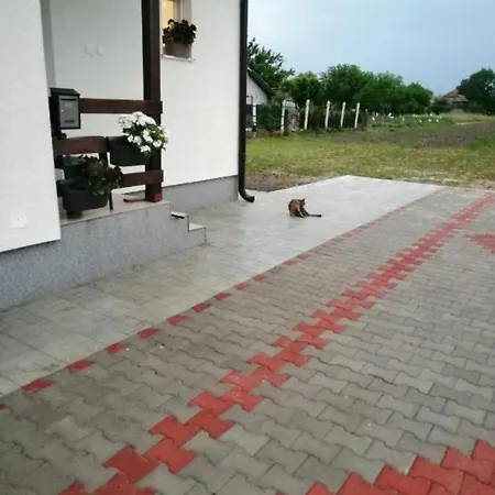 Sveti Luka- Obradovic Sokak 41 Casa vacanze Simanovci